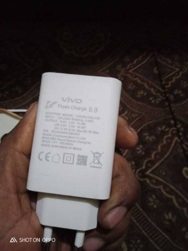 vivo charger 