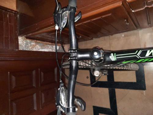 Totem Bicycle