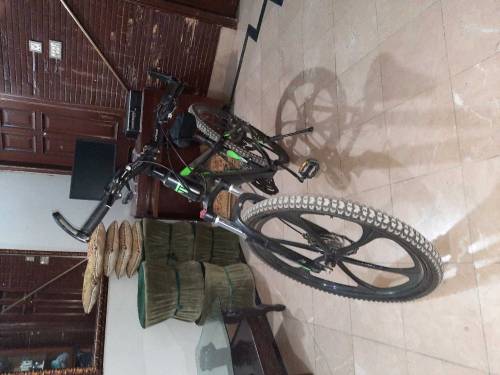 Totem Bicycle