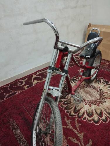 Important bicycle 🚲
