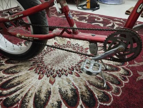 Important bicycle 🚲