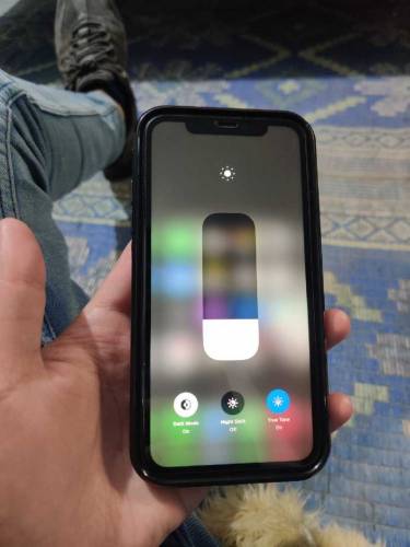 IPHONE 11 DUAL PTA WATERPACK