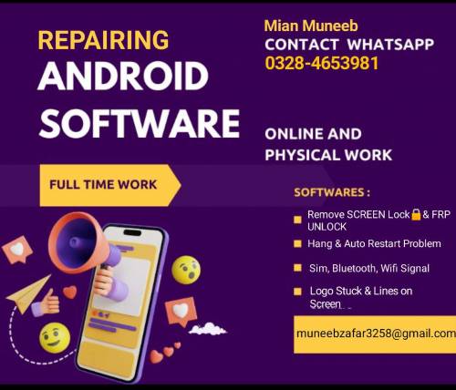 Mobile Software Repairing 