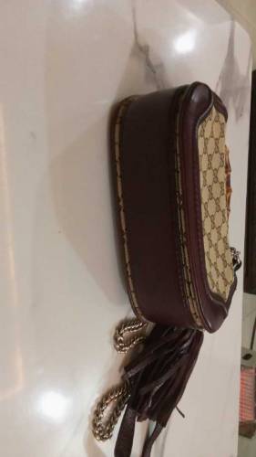 Gucci bag orgenal