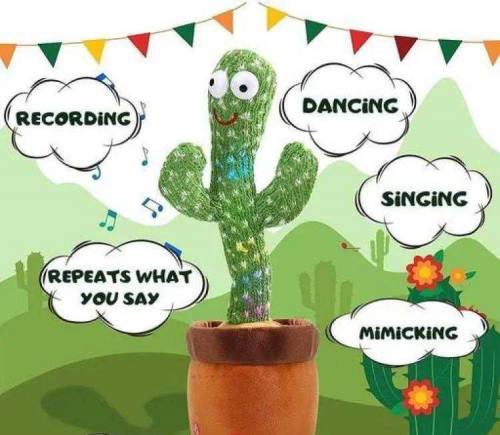 Cactus Toy 