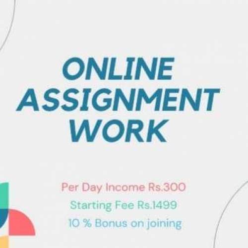Online Assignment work