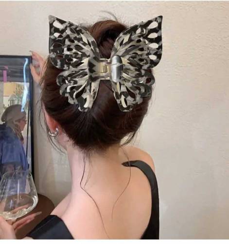 Beautiful big size Butterfly Catcher