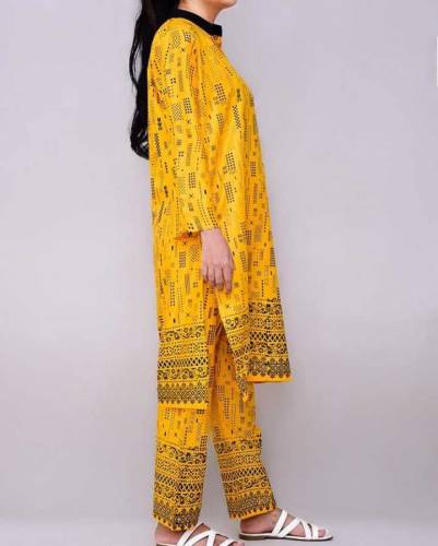 : 2 Pcs Women's Stitched Linen Printed Suit