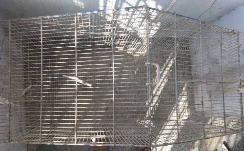 Cage for birds and hens