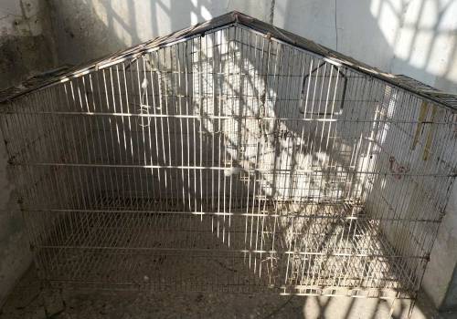Cage for birds and hens