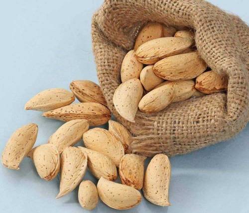 یہ ہیں کاغذی بدام جو چلکہ کے ساتھ آپ کو ملا گا