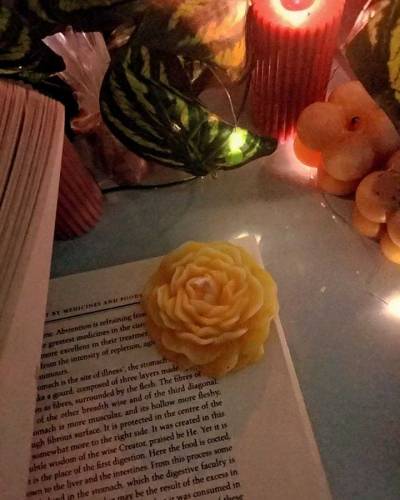 Aromatic Rose candles