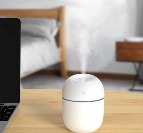 Misti Sprayer Humidifier 