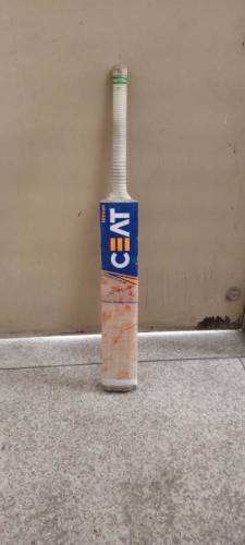 pure English willow hard ball cricket bat for sale in low price.