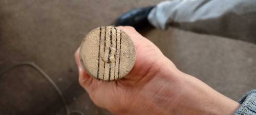 pure English willow hard ball cricket bat for sale in low price.