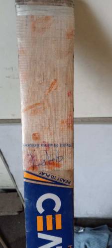 pure English willow hard ball cricket bat for sale in low price.