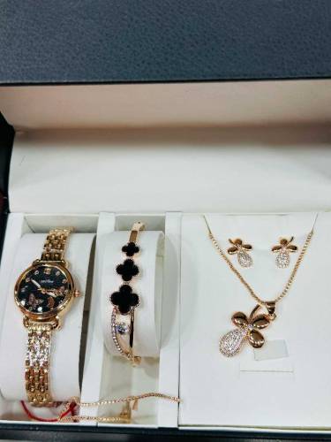 Jewellery Set New Design women watch, earrings, bracelets and necklace