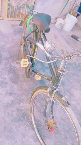 phoenix cycle ha. China ke ha A one condition ha only serious and buy 