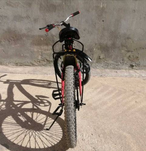 Sports Bicycle