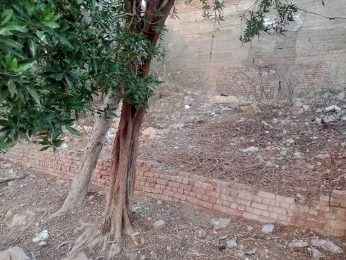 kohsar green city Hyderabad latifabad size 260 gaz pilot