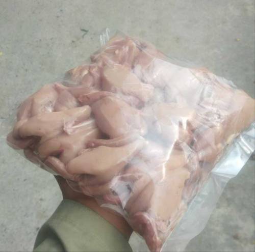 Quail Batair Meat