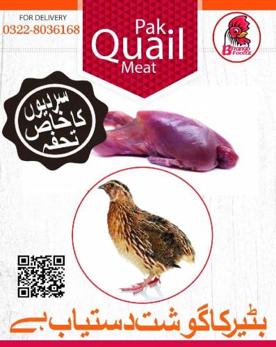 Quail Batair Meat