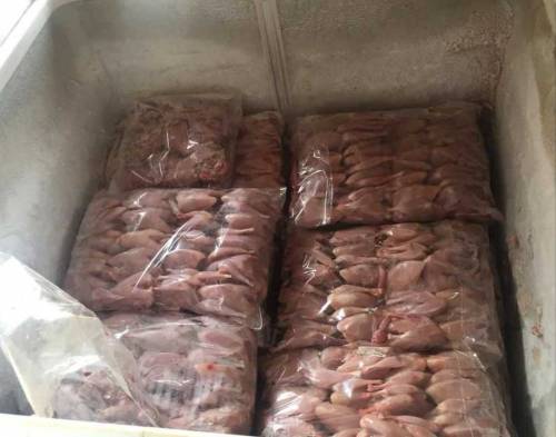 Quail Batair Meat