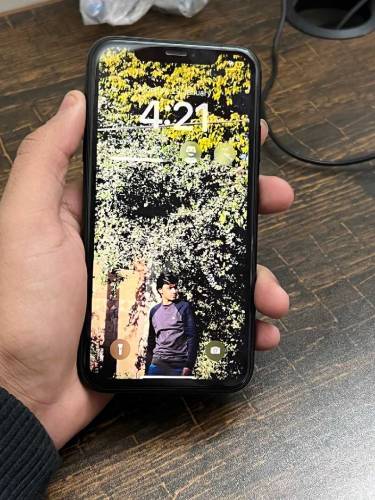 iphone XR 