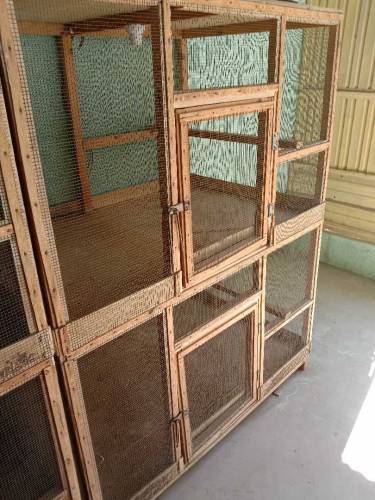 birds cages 