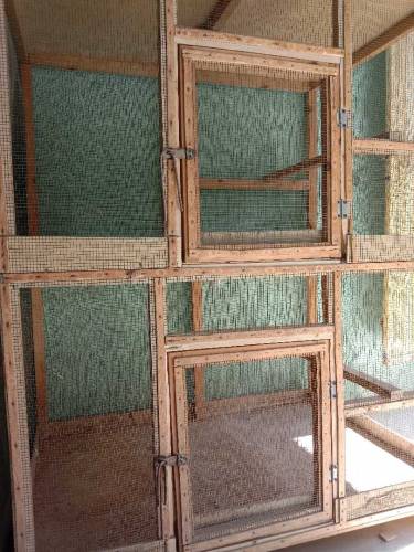 birds cages 
