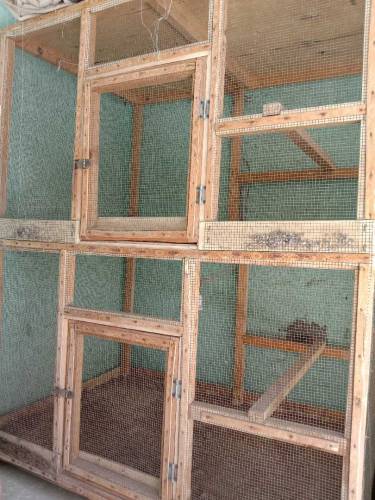 birds cages 