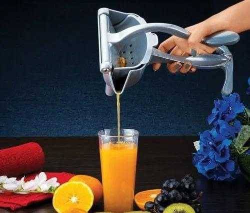 fruit press 