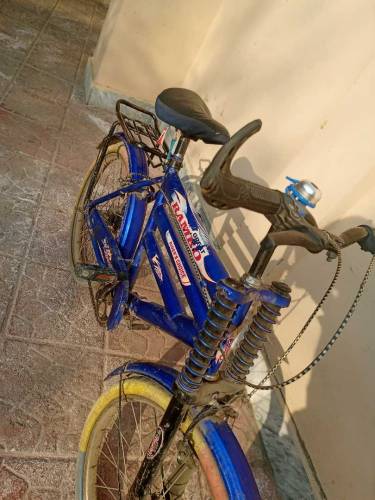 Cycle 