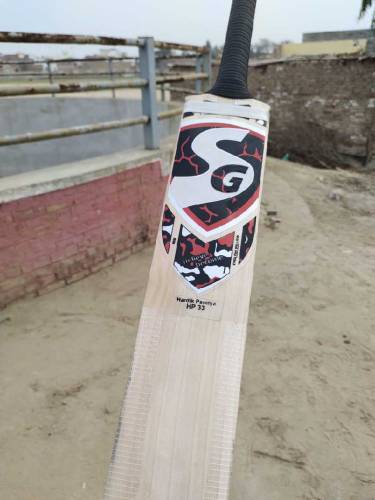 SG hard ball bat 