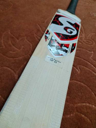 SG hard ball bat 