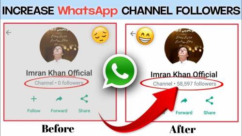 WhatsApp Chennal Follower 1k
