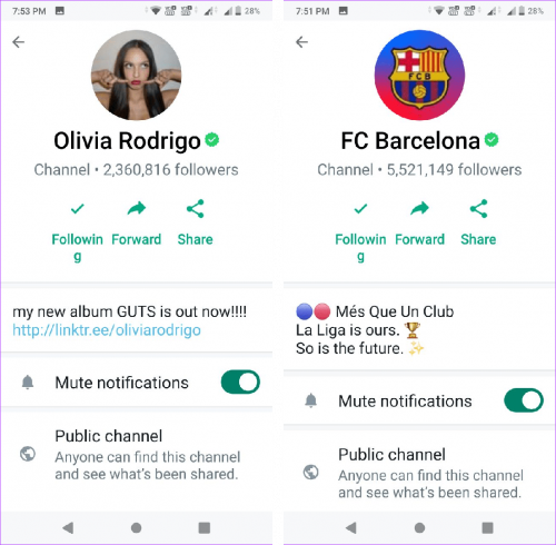 WhatsApp Chennal Follower 1k