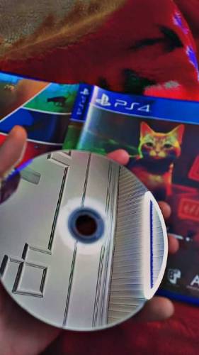 Stray ps4