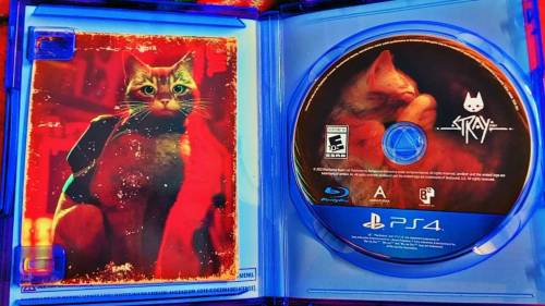 Stray ps4