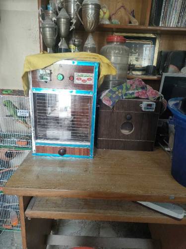 incubator box