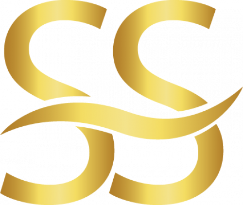 i am a graphic designer expert logo designer 