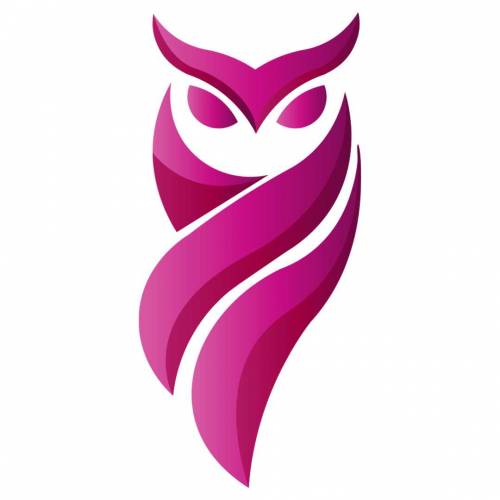 i am a graphic designer expert logo designer 