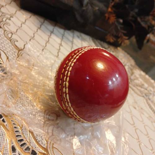 Cricket practice ball
