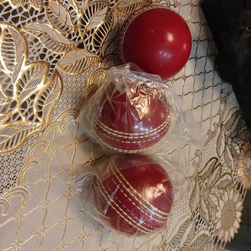 Cricket practice ball
