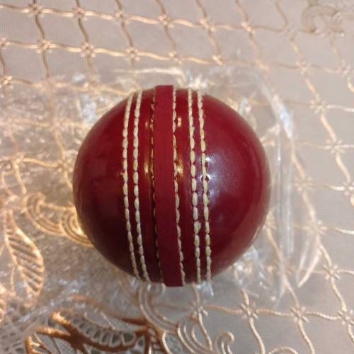 Cricket practice ball