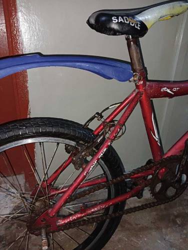bicycle 