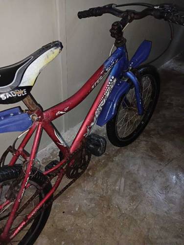 bicycle 
