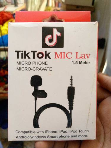 TikTok mic 