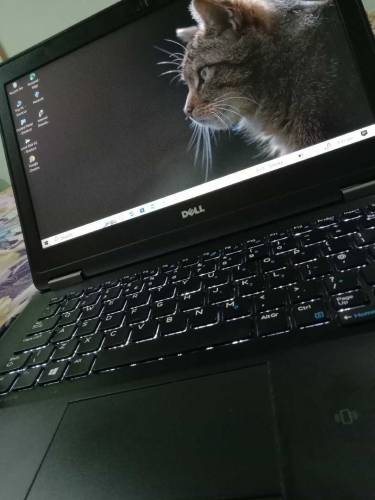 DELL LAPTOP 💻