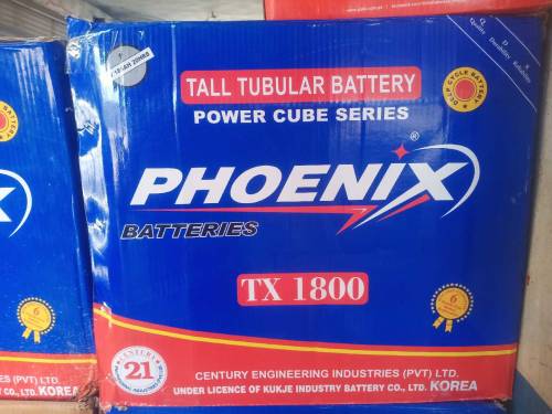 Tall Tubular Battery